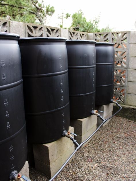 Learn how to create a rain barrel system with multiple barrels to start collecting rainwater for your garden. These 12 steps are everything you need to set up your own DIY rain barrel system. The steps are simple, and you can customize the number of barrels as needed for your garden. #rainbarrels #gardening Diy Rain Catcher For Garden, Diy Irrigation, Rain Catchment System, Rain Collection System, Rain Water Barrel, Water Cistern, Diy Rain Barrel, Collecting Rainwater, Rain Water Collection Diy