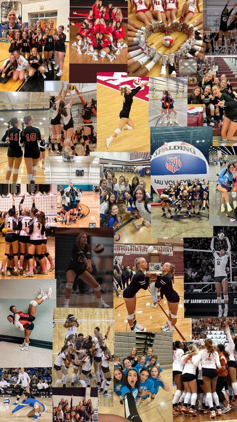 #Volleyballlife #Volleyball Comment what I should do next!! Volleyball Team Pictures Aesthetic, Volleyball Instagram, Volleyball Collage, Volleyball Banners, Volly Ball, Volleyball Images, Volleyball Backgrounds, Volleyball Aesthetic, Volleyball Coaching