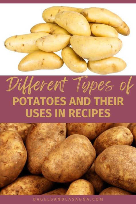 This is a guide to different types of potatoes and their best use for making recipes, such as the right potato to choose to make fries. Some of these potato varieties are perfect in a salad while others work great in soup or as sides. Potato Varieties, Types Of Potatoes, Kitchen Hacks Organization, Cooking Ingredients, Life Tips, Baking Tips, Choose The Right, Cooking Tips, Cooking And Baking