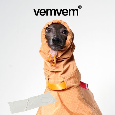 Sherbert Orange colored Super Raincoat has a comfortable avant-garde fit and is made of special membrane functional material, which blocks heavy rain and keeps Italian Greyhound dry and warm. It is suitable for all seasons. Dogs Wearing Clothes, Greyhound Clothes, Greyhound Dogs, Italian Greyhound Clothes, Dog Fashion, Functional Clothing, Dog Raincoat, Grey Hound Dog, Dog Products