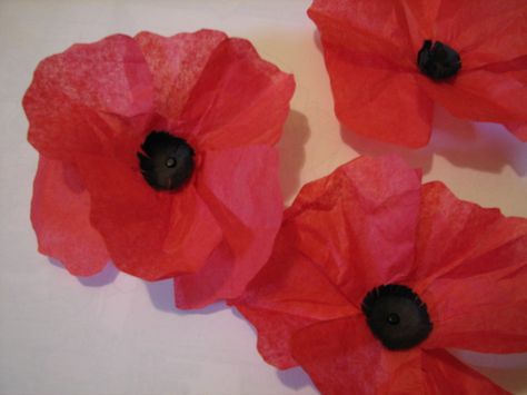 Tissue Paper Poppies Tissue Paper Poppy Flowers Diy, Tissue Poppy Flowers, Tissue Paper Poppies, Tissue Paper Poppy, Tissue Paper Poppies How To Make, How To Make Poppies For Veterans Day, Making Poppies For Veterans Day, Anzac Poppy Template, Remembrance Day Art