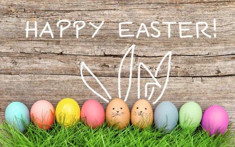 vegan easter recipes Easter Sunday Images, Vegan Easter Recipes, Happy Easter Quotes, Happy Easter Sunday, Grass Backdrops, Vegan Easter, Easter Backdrops, Easter Images, Easter Pictures