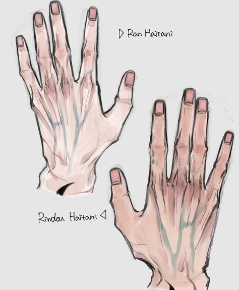 Hand Drawing Reference, Anatomy Sketches, Body Reference Drawing, Anatomy Drawing, Figure Drawing Reference, Anatomy Reference, Anatomy Art, Art Tutorials Drawing, Anime Poses Reference