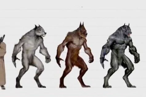 van helsing wolfmen or as i like to remember them as fluffy, fuzzy, silky. Van Helsing Werewolf, Werewolf Design, Werewolf Vs Vampire, Werewolf Drawing, Werewolf Aesthetic, Arte Nerd, Van Helsing, Werewolf Art, Vampires And Werewolves