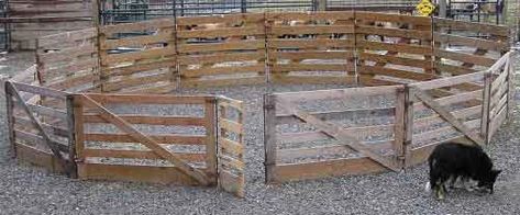 Lamb Pens for Blackbelly Sheep - Barbados Blackbelly Sheep Association International Goat Projects, Sheep Shelter, Sheep House, Sheep Pen, Portable Fence, Livestock Barn, Goat Shelter, Holding Pen, Smoked Food