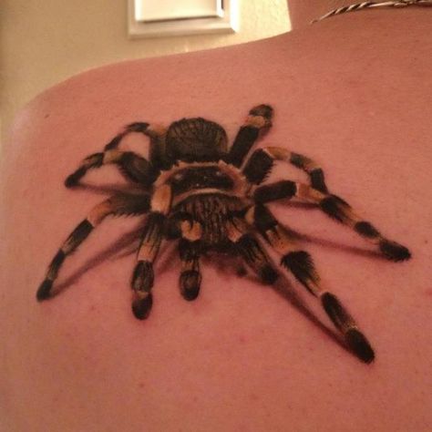 Tarantula Tattoo, 3d Spider Tattoo, Phönix Tattoo, Animals Tattoo, Insect Tattoo, Best Tattoos For Women, Fire Tattoo, Spider Tattoo, Cool Tattoos For Guys