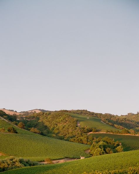 Happy Anniversary! We had a blast photographing this beautiful wedding at Kunde Winery in Sonoma, California. Here are 10 reasons why Kunde is an amazing wedding venue: 1. Beautiful vineyard views 2. Multiple event spaces 3. Historic charm 4. Excellent wine selection 5. Delicious local food options 6. Helpful wedding staff 7. Great photo spots 8. Gorgeous in every season 9. Easy to get to in Sonoma 10. Eco-friendly practices The team that made the pictures possible: Planner: @courtneycar... Backyard Weddings, Sonoma California, Wine Selection, Food Options, 10 Reasons, Having A Blast, Local Food, Backyard Wedding, Event Space