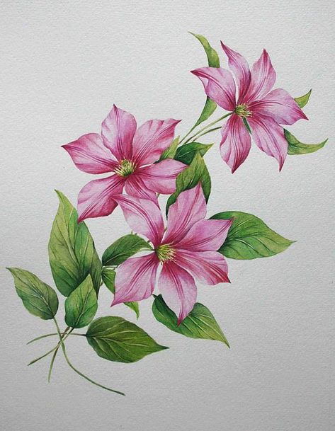 Clematis Drawing, Vase Drawing, Flower In A Vase, Africa Painting, Plant Sketches, Painting Flowers Tutorial, Fabric Painting Techniques, Clematis Flower, Flowers Drawing