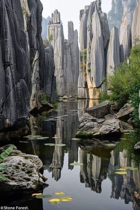 Unusual Nature, Stone Forest, Travel China, Petrified Forest, Park In New York, Tourist Sites, Kunming, The Silk Road, Mysterious Places