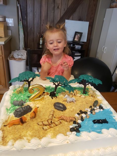 Diy Safari Birthday Cake, Safari Theme Sheet Cake, Costco Sheet Cake Decorating Ideas, Safari Sheet Cake Ideas, Animal Sheet Cake, Jungle Sheet Cake, Safari Sheet Cake, Costco Birthday Cakes, Costco Sheet Cake