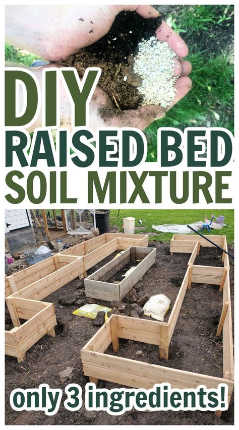 Don't buy the premixed bags of raised garden bed soil. Instead fill your planter boxes with this DIY soil blend that is perfect for vegetable garden soil and healthy plants. Diy Soil For Garden, Diy Raised Planter Boxes, Garden Bed Soil, Raised Garden Bed Soil, Garden Soil Mix, Vegetable Garden Soil, Cheap Raised Garden Beds, Soil Mixture, Mushroom Compost