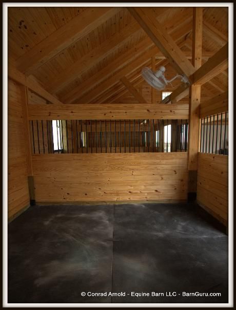 3 Stall Horse Barn Interior Photos 3 Stall Horse Barn, Horse Barn Interior, Equine Barns, Small Horse Barns, Horse Pens, Pallet Barn, Diy Horse Barn, Cattle Barn, Horse Barn Ideas Stables