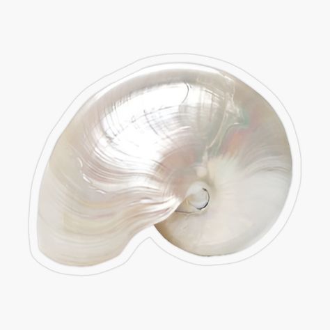 Opal Shell #summer #shellsticker #opal Get my art printed on awesome products. Support me at Redbubble #RBandME: https://www.redbubble.com/i/sticker/Opal-Shell-by-HappyPeel/161370873.O9UDB?asc=u Nautilus Shell Drawing, Shell Sticker, Shell Drawing, Nautilus Shell, Explosion Box, Nautilus, White Opal, Cute Stickers, My Art