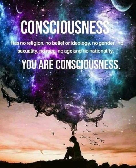 536 Likes, 13 Comments - Resonance Science Foundation (@resonancescience) on Instagram: “"There is a fundamental field of information that is the source of our consciousness. Consciousness…” Daily Spiritual Quotes, Spiritual Inspiration Quotes, Yoga Journey, Spiritual People, Jiddu Krishnamurti, Awakening Quotes, King Cobra, Witch Aesthetic, Opening Soon