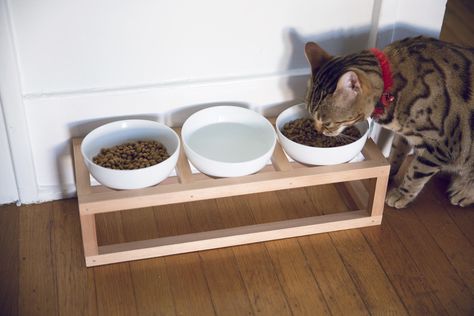 how to make a diy cat bowl stand Cat Feeder Diy, Cat Food Stand, Pet Bowls Stand, Cat Food Station, Pet Bowl Stand, Diy Cat Food, Cat Bowl Stand, Cat Feeding Station, Chat Diy