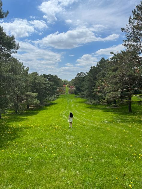 hill green nature pretty clearing run frollick dress spring summer blue sky Hill Aesthetic Green, Grass Green Aesthetic, Hill Aesthetic, Green Grass Aesthetic, Running Hills, Dreamcore Aesthetic, Green Scenery, Spring Tree, Green Grass