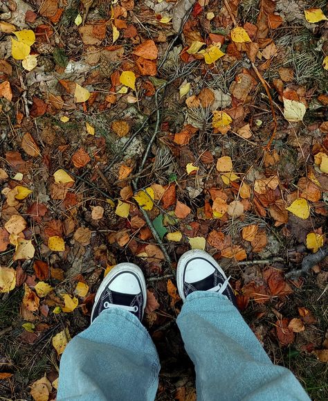 Converse Aesthetic Pictures, Autumn Converse, Converse Shoes Aesthetic, Autumn Leaves Aesthetic, Aesthetic Converse, Leaves Aesthetic, Vibe Board, Fall Highlights, Hate Summer