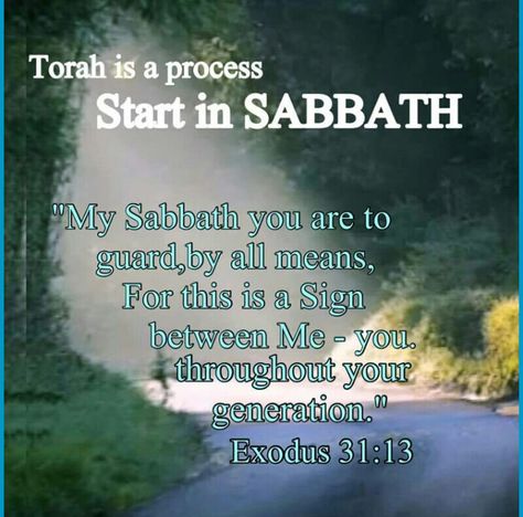 Have you ever wondered why God commands us to keep the Sabbath? But the majority do not follow this commandment. Instead they keep Sunday. I challenge you - search out how it was changed!! It may surprise you. Regardless we are to honor our Creator, who rested on the Seventh Day. -  You must observe My Sabbaths, for it is a sign between Me and you throughout your generations, so that you will know that I am Yahweh who sets you apart. Exodus 31:13 Saturday Sabbath, 4th Commandment, Yahuah Yahusha, Happy Sabbath Quotes, Sabbath Quotes, Messianic Judaism, Sabbath Rest, Hebrew Lessons, Biblical Hebrew