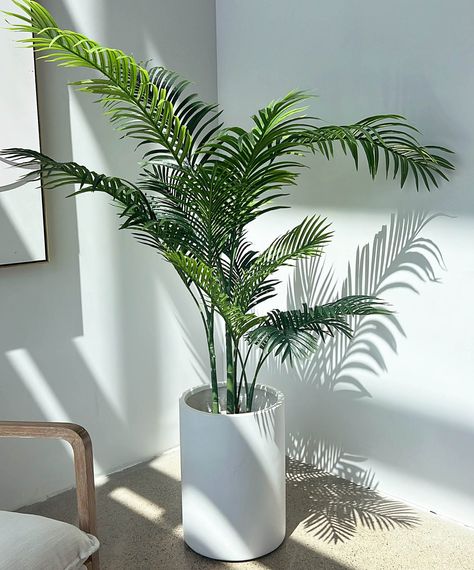 Moroccan White Tube Planter White Pot Plants Indoor, Vase Plant Ideas, Big Home Plants, Artificial Potted Plants Indoor, Coastal Indoor Plants, White Potted Plants, Fake Plants For Bedroom, White Plant Pots, Tropical Plants Indoor