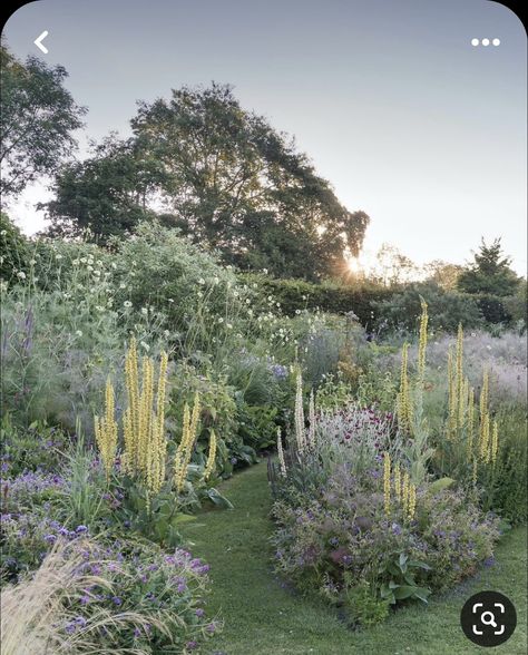 Garden Desig, Pollinator Garden, Garden Guide, End It, One Bed, Garden Photography, Hardy Perennials, Natural Garden, Perfect Garden