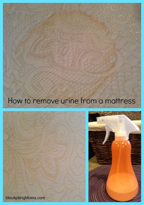 Matress Cleaner, Urine Remover, Mattress Cleaner, Pee Stains, Homemade Cleaner, Mattress Stains, Clean Toilet, Deep Cleaning Hacks, Urine Stains