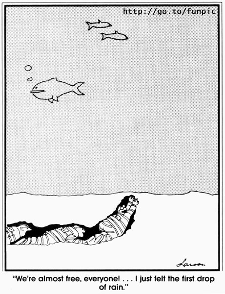 "The Far Side" - Gary Larson Farside Comics, Gary Larson Far Side, Far Side Cartoons, Sunday Comics, Far Side Comics, Gary Larson, Engineering Humor, Funny Comic Strips, Math Humor