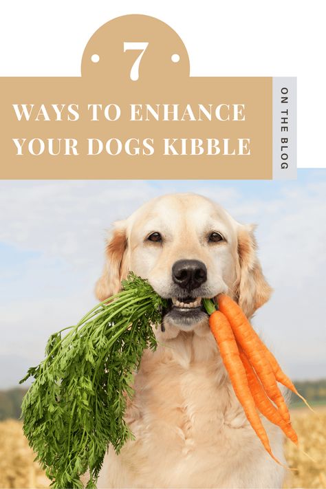 7 Dog Food Add-Ins to Enhance Kibble - Max and Co Pets What To Add To Dog Kibble, Dog Food Add Ins, Best Kibble For Dogs, Dog Food Kibble, Can My Dog Eat That?, Dog Nutrition Supplements, Dog Cake Recipes, Natural Pet Food, Dog Food Brands