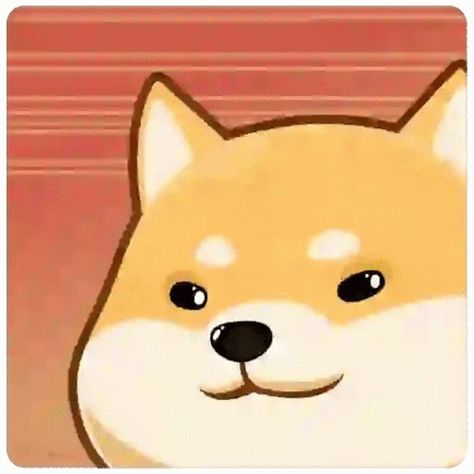 Doge Intensifies Dog Intensifies GIF - Doge Intensifies Dog Intensifies Shiba Intensifies - Discover & Share GIFs Doge Gif, Shiba Dog, Eye Stickers, After Dark, Animated Gif, Cool Gifs, Pikachu, Hello Kitty, Cute Animals