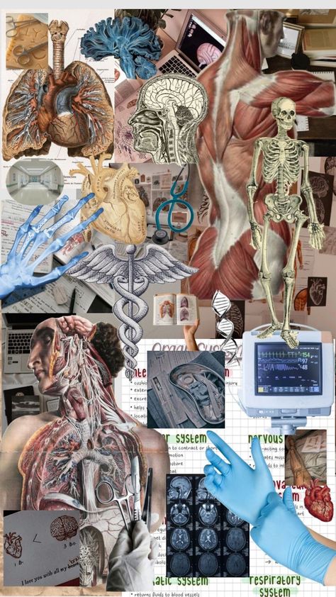 Physiology Aesthetic Wallpaper, Anatomy And Physiology Cover Page, Human Anatomy Wallpaper, Medical Desktop Wallpaper, Anatomy And Physiology Aesthetic, Physiology Aesthetic, Medicine Collage, Wallpaper Medicine, Medical Collage