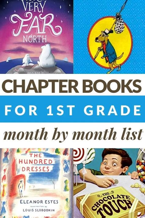 Books For 1st Graders, Books For First Graders, Read Aloud Chapter Books, 1st Grade Books, First Grade Books, Kids Chapter Books, Easy Chapter Books, Reading Projects, Kindergarten Books