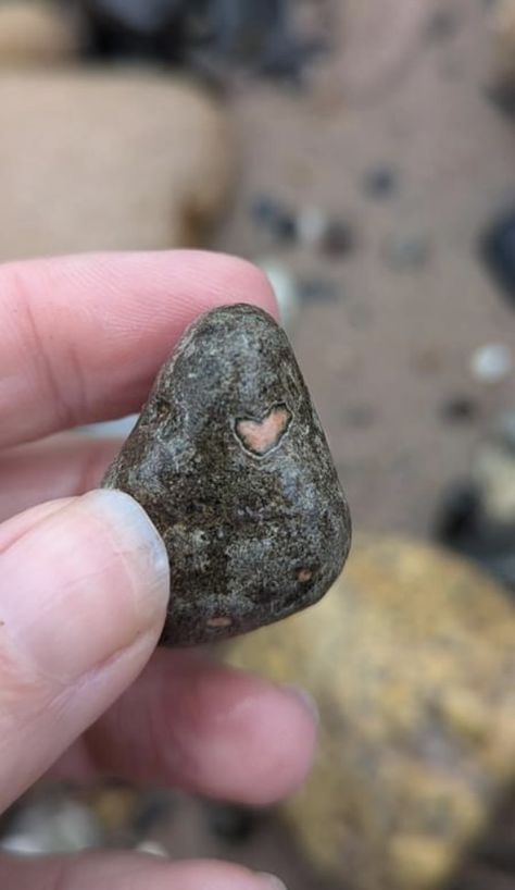 Heart rock from Christmas, Michigan.  Collection of Annie Maxine. Christmas Michigan, Nature Hearts, Hidden Hearts, Heart Rocks, Heart Shaped Rocks, Heart In Nature, Love The Earth, Heart Day, I Love Heart