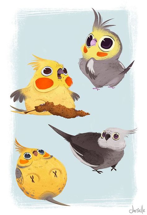 ... Danielle Brown, Cartoon Birds, Bird Drawings, Bird Illustration, Cute Animal Drawings, Illustration Character Design, Facial Expressions, Cool Stuff, Creature Design