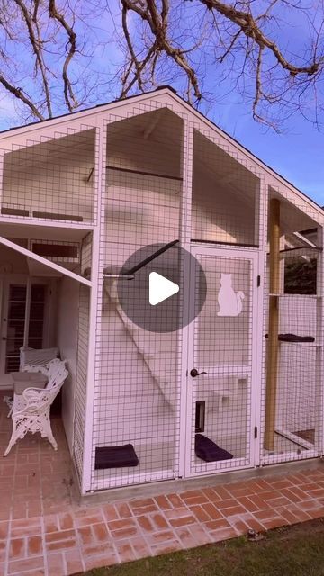 Cat Porch Enclosure, Cat Runs Enclosure, Catios Ideas For Cats, Patio Catio, Cat Patio Enclosure, Cat Playhouse, Porch Enclosures, Cat Patio, Cat Run