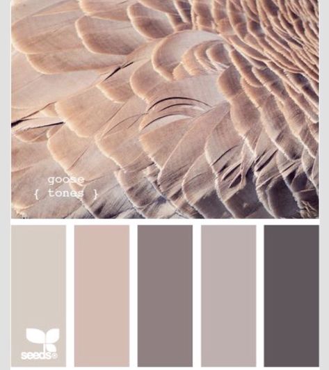 Color palette Design Seed, Palette Design, Design Seeds, Color Palate, Trendy Bedroom, Bedroom Paint, Paint Schemes, Colour Schemes, Bedroom Colors