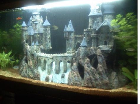 Ce grand château est divisé en deux pièces, toutes deux disponibles sur Décorations Aquarium. Livraison offerte avec liens ci-dessous. Cool Fish Tank Decorations, Fish Tank Themes, Cool Fish Tanks, Aquarium Landscape, Cool Fish, Fish Tanks, Fish Tank Decorations, Tank Design, Angel Fish