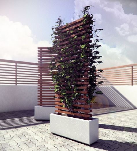 Love your Privacy. Mobile vine privacy wall                                                                                                                                                     More Garden Vines, نباتات منزلية, Garden Screening, Backyard Privacy, Vine Wall, Walled Garden, Garden Types, Potting Bench, Have Inspiration