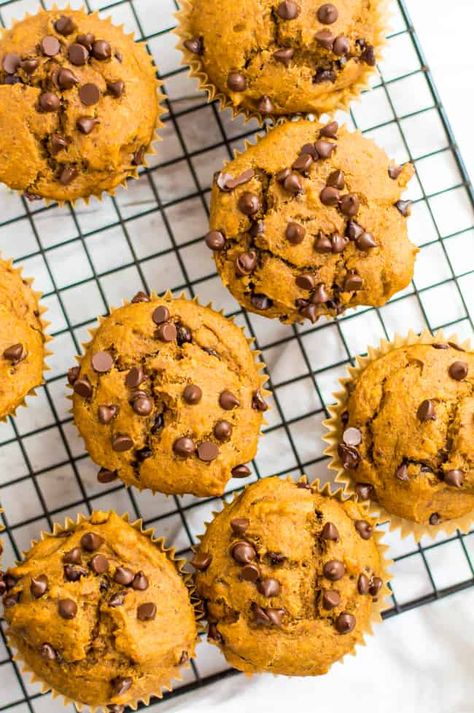 These Vegan Pumpkin Muffins are quick to make, full of flavor, and packed full of good-for-you ingredients. Dairy free + egg-free – these muffins are perfect for breakfast, snack or as a healthy dessert. #veggieloaded #vegan #pumpkinmuffins #healthymuffins #thenaturalnurturer Egg Free Muffins, Natural Nurturer, Vegan Pumpkin Muffins, Gluten Dairy Free, Vegan Muffins, Healthy Muffin Recipes, Dairy Free Eggs, Healthy Pumpkin, Vegan Pumpkin