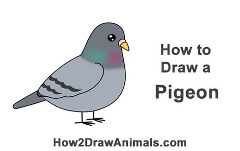 Draw a Cartoon Pigeon Bird #animalart #cuteanimals #birdart #pigeon Pigeon Doodles, Pigeon Drawing Easy, Pigeon Cartoon, Cartoon Pigeon, Pigeon Eyes, Pigeon Drawing, Pigeon Tattoo, Cute Pigeon, Drawing Instructions