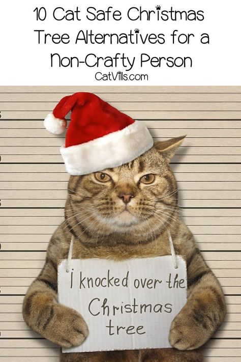 As a cat parent, I’m always looking for cat safe Christmas tree alternatives for the festive season. Here are my top 10 favorites! Cat Safe Christmas Tree, Christmas Tree Guard, Cat Proof Christmas Tree, Christmas Tree Alternatives, Toddler Christmas Tree, Cat Proofing, Cat Christmas Tree, Alternative Christmas Tree, Real Christmas Tree