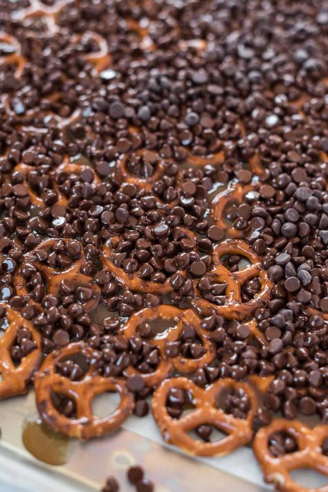 Carmel Chocolate Pretzels, Pretzel And Chocolate, Chocolate Caramel Pretzel Bark, Caramel Pretzel Bars, Chocolate Pretzel Bars, Chocolate Pretzels Recipe, Caramel Pretzel Bark, Easy Christmas Treat, Homemade Chocolate Bark