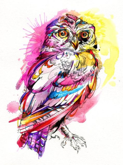 Abby Diamond, Watercolor Owl Tattoos, Bird Line Drawing, Pygmy Owl, Night Run, Owl Art Print, Bird Artists, Watercolor Art Diy, Owl Canvas