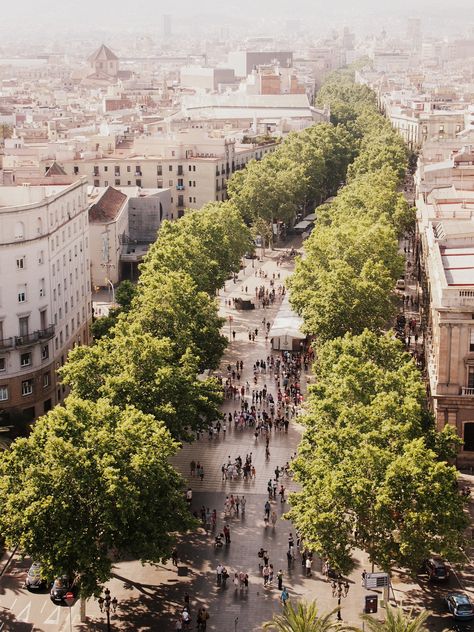 Las Ramblas, Barcelona Spain La Ramblas Barcelona, Barcelona Las Ramblas, Las Ramblas Barcelona, Video Hotel, Urban Bedroom, Green Corridor, Barcelona Street, Barcelona Architecture, Walking Street