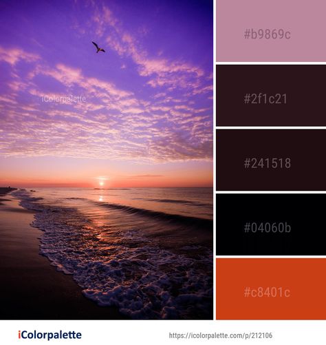 Color Palette ideas from 2191 Sea Images | iColorpalette Sea Images, Ocean Sunrise, Sky Sunrise, Color Palette Ideas, Sky Images, Palette Ideas, Sea Colour, Sea Shore, Find Color