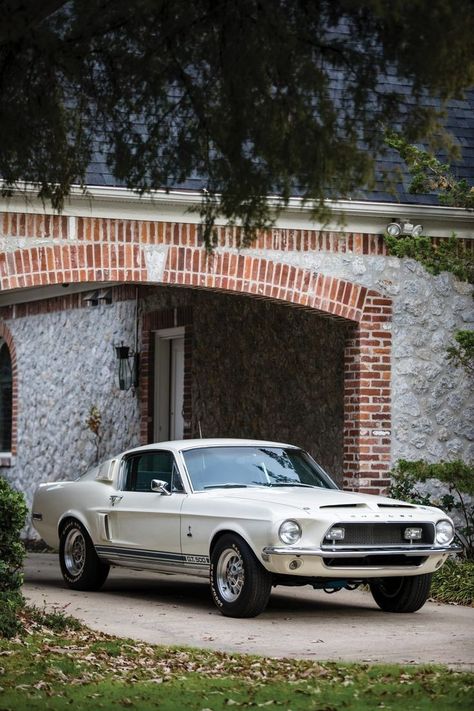 Gt500 Shelby, 1968 Ford Mustang Fastback, 68 Mustang, Mustang 1967, Classic Mustangs, Auto Ford, Shelby Mustang, Ford Mustang Fastback, Have Mercy