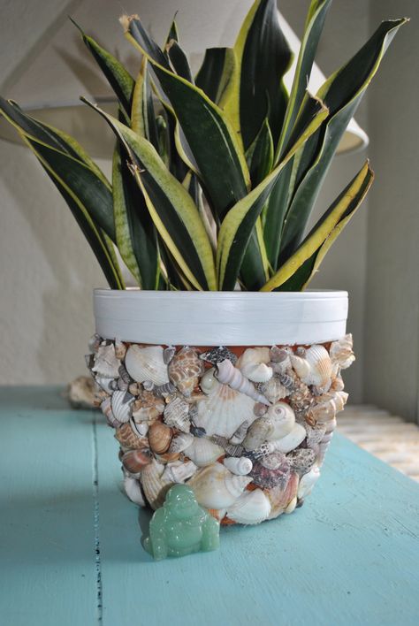 DIY Shell Planter | life. use it as inspiration. Beach Theme Wall Decor, Shell Planter, Seashell Projects, Beach Theme Decor, Beach Diy, Seashell Art, Beach Crafts, Seashell Crafts, Shell Crafts