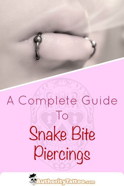 Everything you need to know about snake bites piercings, including: Pain, Aftercare, Healing Times, Risks, Infections, Jewellery & Example Images. Hide Piercings, Snake Bites Piercing, Snake Bite Piercing, Cheek Piercings, Spider Bite, Mouth Piercings, Spider Bite Piercing, Double Tongue Piercing, Emo Fits