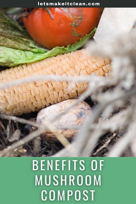 Mushroom Substrate, Compost Mulch, Composting 101, Mushroom Compost, Mushroom Benefits, Garden Centers, Landscaping Supplies, The Mushroom, Composting