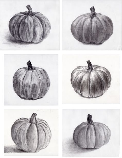 The Rolling Artroom: Charcoal Pumpkin Drawings, Pumpkin Carve, Pumpkin Sketch, Intro To Art, Fall Drawings, Pumpkin Drawing, 8th Grade Art, Middle School Art Projects, Fall Arts And Crafts