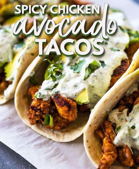 Spicy Chicken and Avocado tacos with Creamy Cilantro Lime Sauce Cilantro Sauce Recipe, Creamy Cilantro Lime Sauce, Creamy Cilantro Sauce, Avocado Tacos, Chicken And Avocado, Grilled Chicken Tacos, Avocado Taco, Cilantro Lime Sauce, Cilantro Sauce