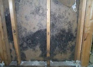 If you've been thinking, "My wood is all molds!", try the best way to get rid of them. We'll share tips on how to remove mold from wood in 7 steps Mold Remover On Wood, Remove Mold From Wood, Kill Black Mold, Remove Mold Stains, How To Remove Mold, Remove Black Mold, Remove Mold, Wood Window Frame, Mildew Stains